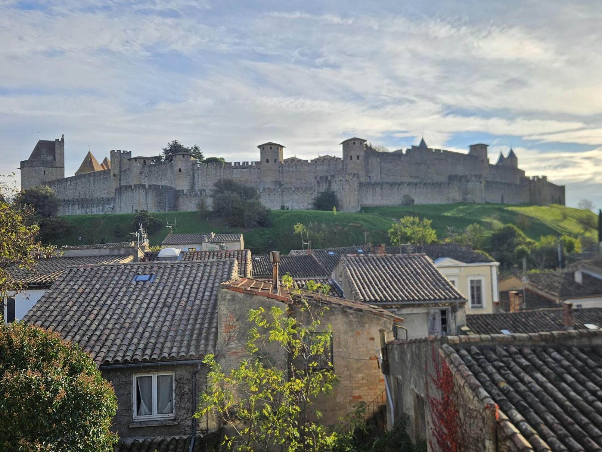 Vue Cite Medievale Castel View Carcassonne Luaran gambar